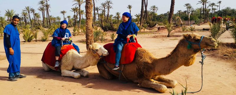 top travel experiences in marrakech