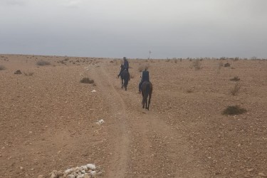 Day-Pass aux Montagnes de l'Atlas