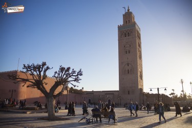 Pferdekutschen-Tour in Marrakesch